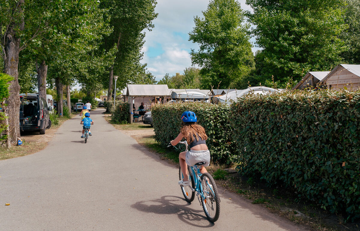 10 Camping Le Bois D Amour Activit 10-camping-le-bois-d-amour-activit